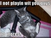 Best-LOLcats-10.jpg