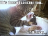 Best-LOLcats-11.jpg