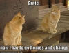 Best-LOLcats-19.jpg
