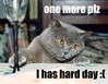 Best-LOLcats-2.jpg
