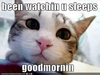 Best-LOLcats-20.jpg