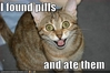 Best-LOLcats-8.jpg