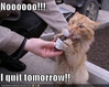 Best-LOLcats-9.jpg