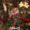 cute-christmas-tree-ornament.jpg