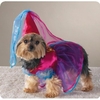 halloweenpetcostumes_07.jpg