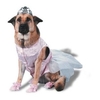 halloweenpetcostumes_11.jpg