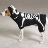 halloweenpetcostumes_19.jpg