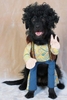 halloweenpetcostumes_28.JPG