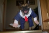 halloweenpetcostumes_35.jpg