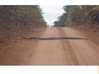 snake_in_africa.jpg